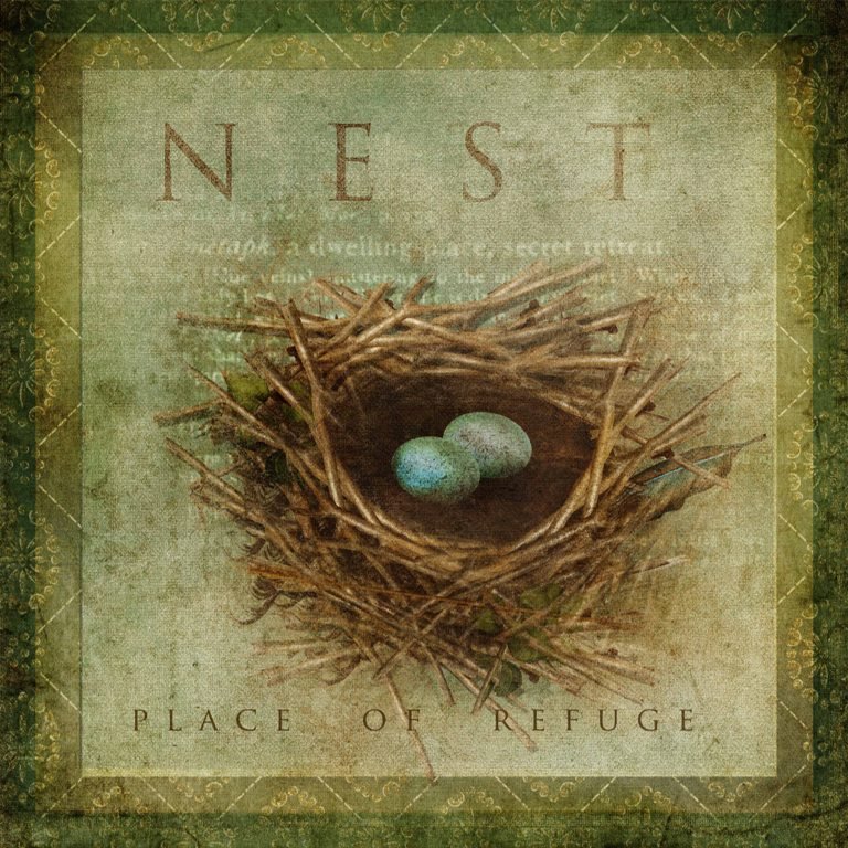 Bird Nest