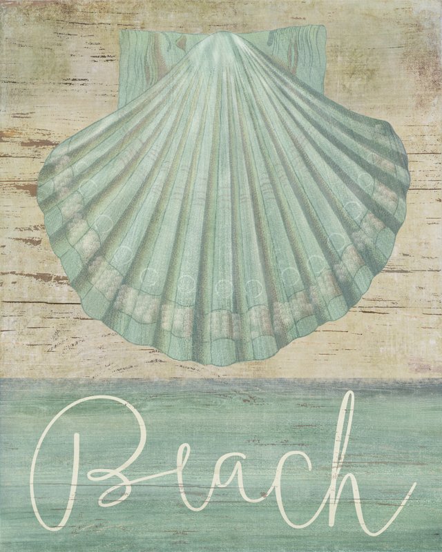 Beach Shell