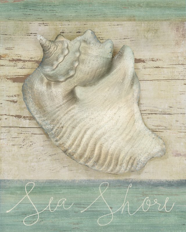 Seashore