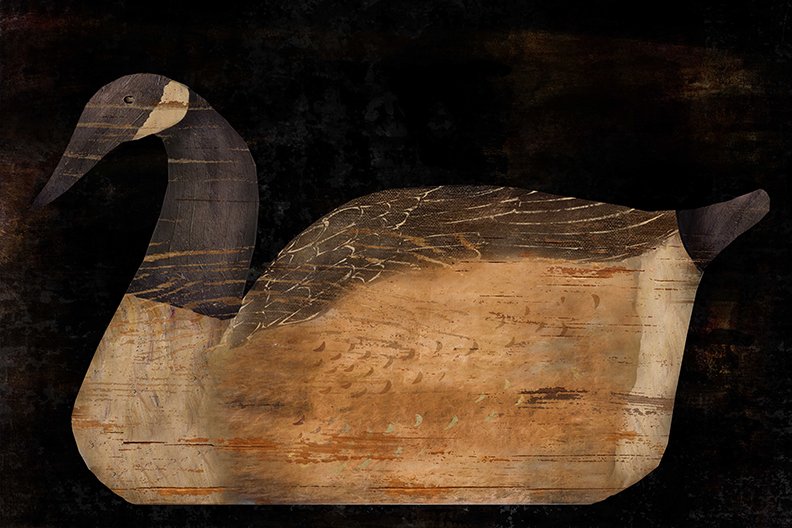 Decoy I