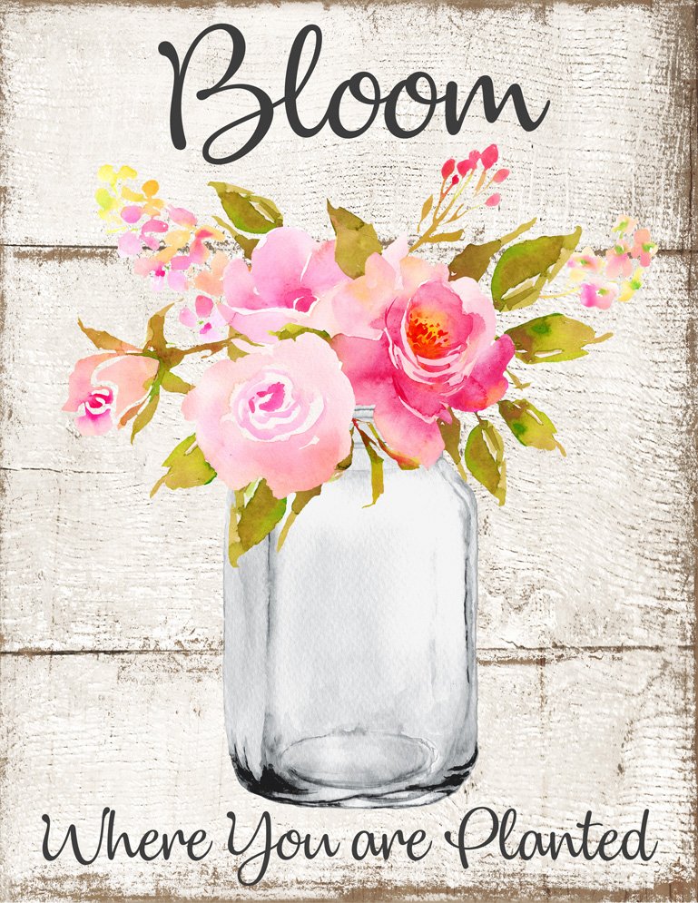 Country Jar bloom