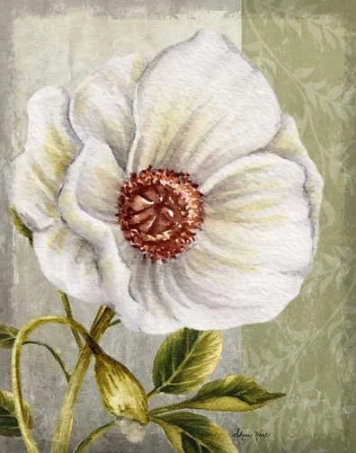 White Floral