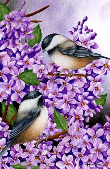 Lilac Sweetness