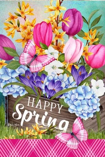 Spring Box