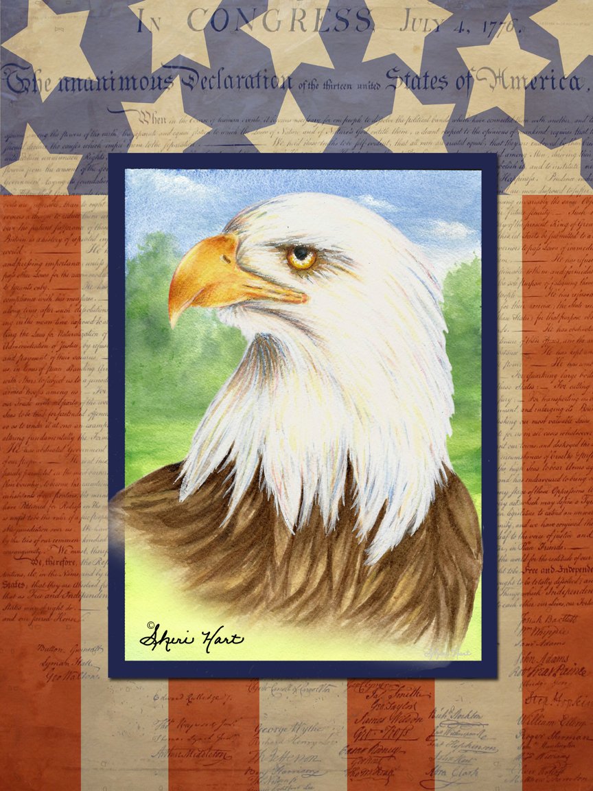 Declaration II