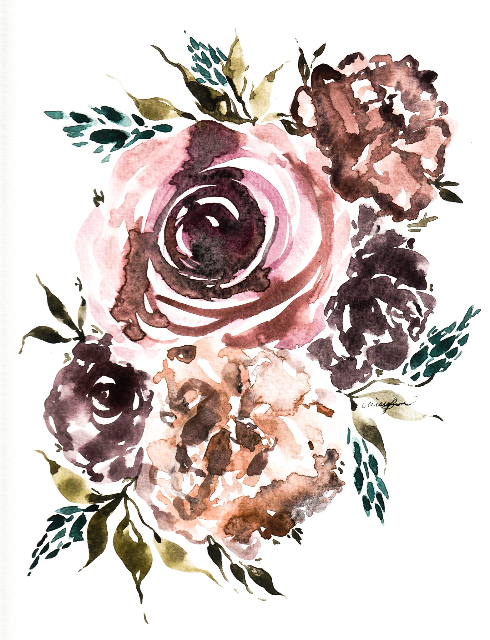 Spring Roses