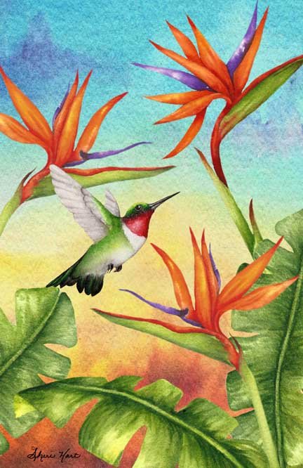 Bird in Paradise