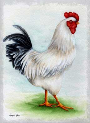 Countryside Rooster