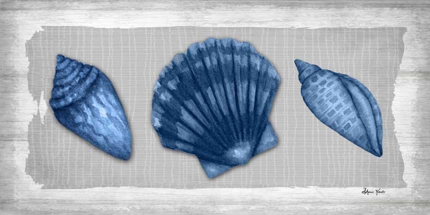 Shell Study