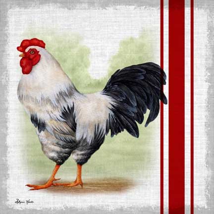 Countryside Rooster