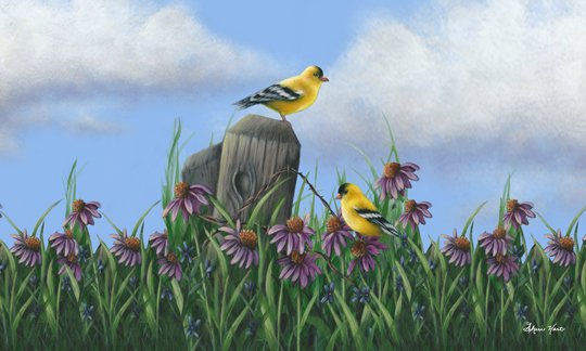 Goldfinch Gathering
