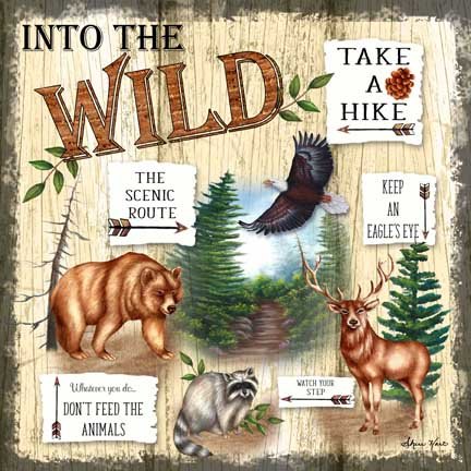Into the Wild