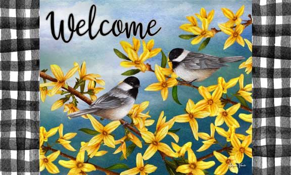Spring Forsythia