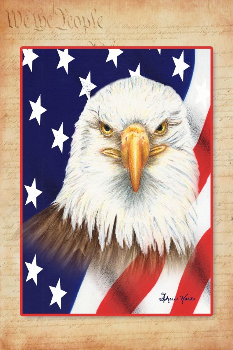 We the People I
