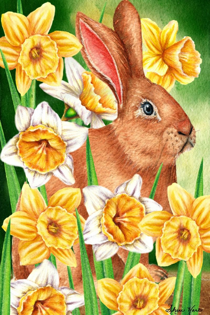 Daffodil Trail Bunny