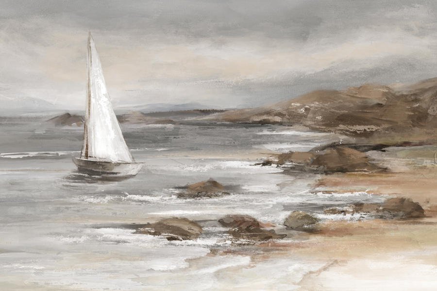 Sailing in the Cove