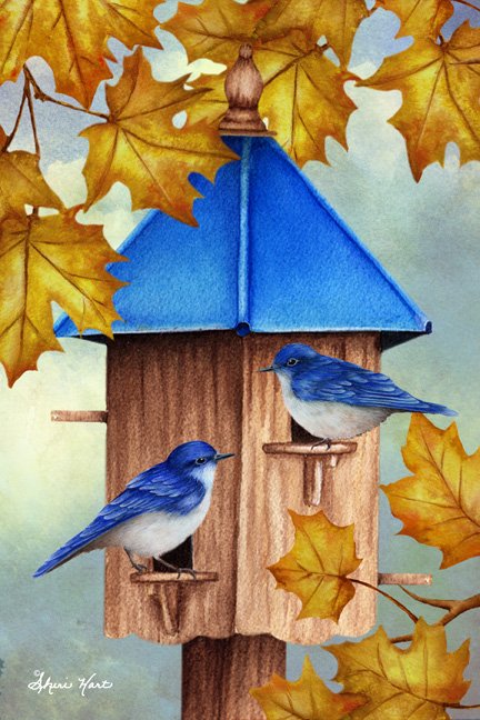Bluebird in Autumn
