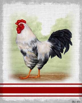 Countryside Rooster