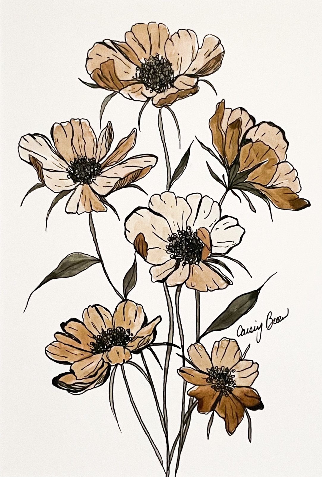 Daisy Blooms
