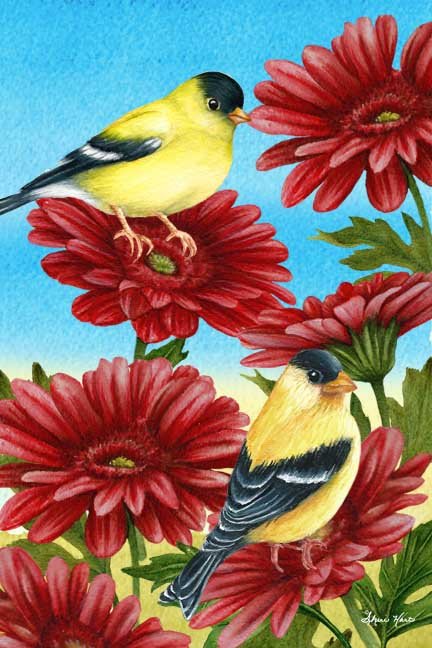 Goldfinch & Gerberas