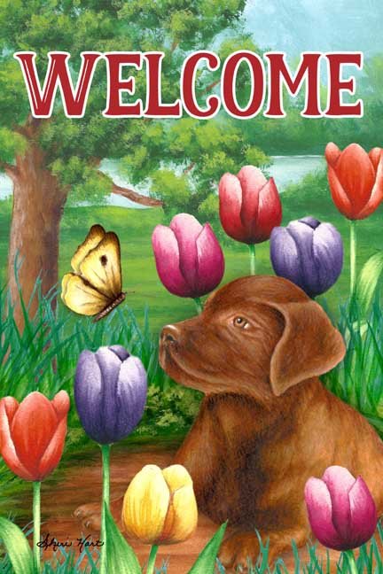 Welcome Lab Puppy