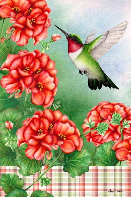 Humming Bird