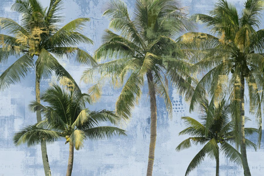 Sky Palms