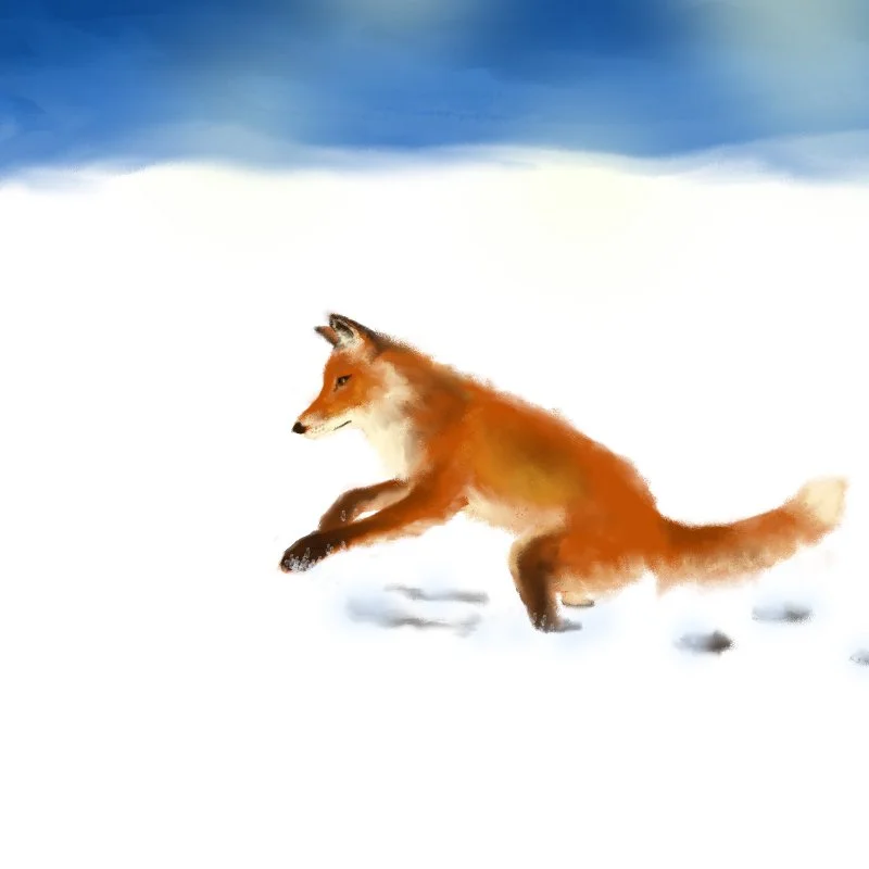 Fox in Snow.JPG