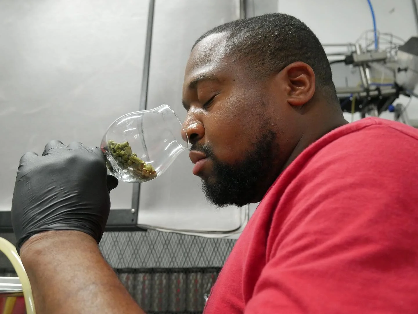 Bert is taking in these Tettnang hops! It has a mild but distinct floral and spicy character. Would you ever try out a spicy draft beer?⁣
⁣⁣⁣📸: @shoot.the.jay 
⁣⁣⁣⁣
⁣⁣⁣⁣
⁣⁣⁣⁣
⁣⁣⁣⁣
⁣⁣⁣⁣
#homebrewing #craftbeer #abp #theprocess #adaptbeerproject #blac