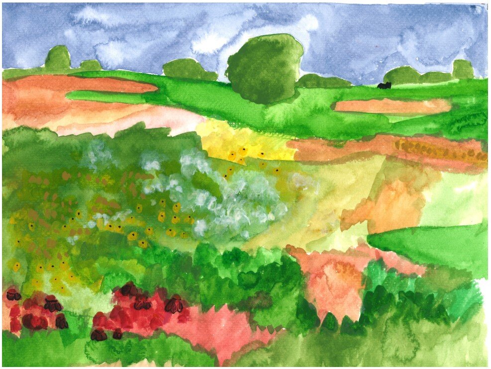 bear across field.jpg