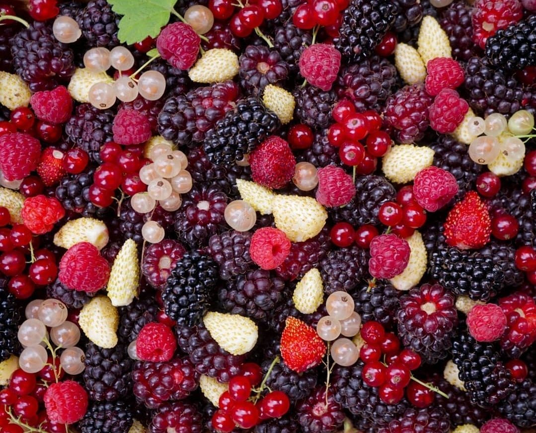 Loran white strawberry