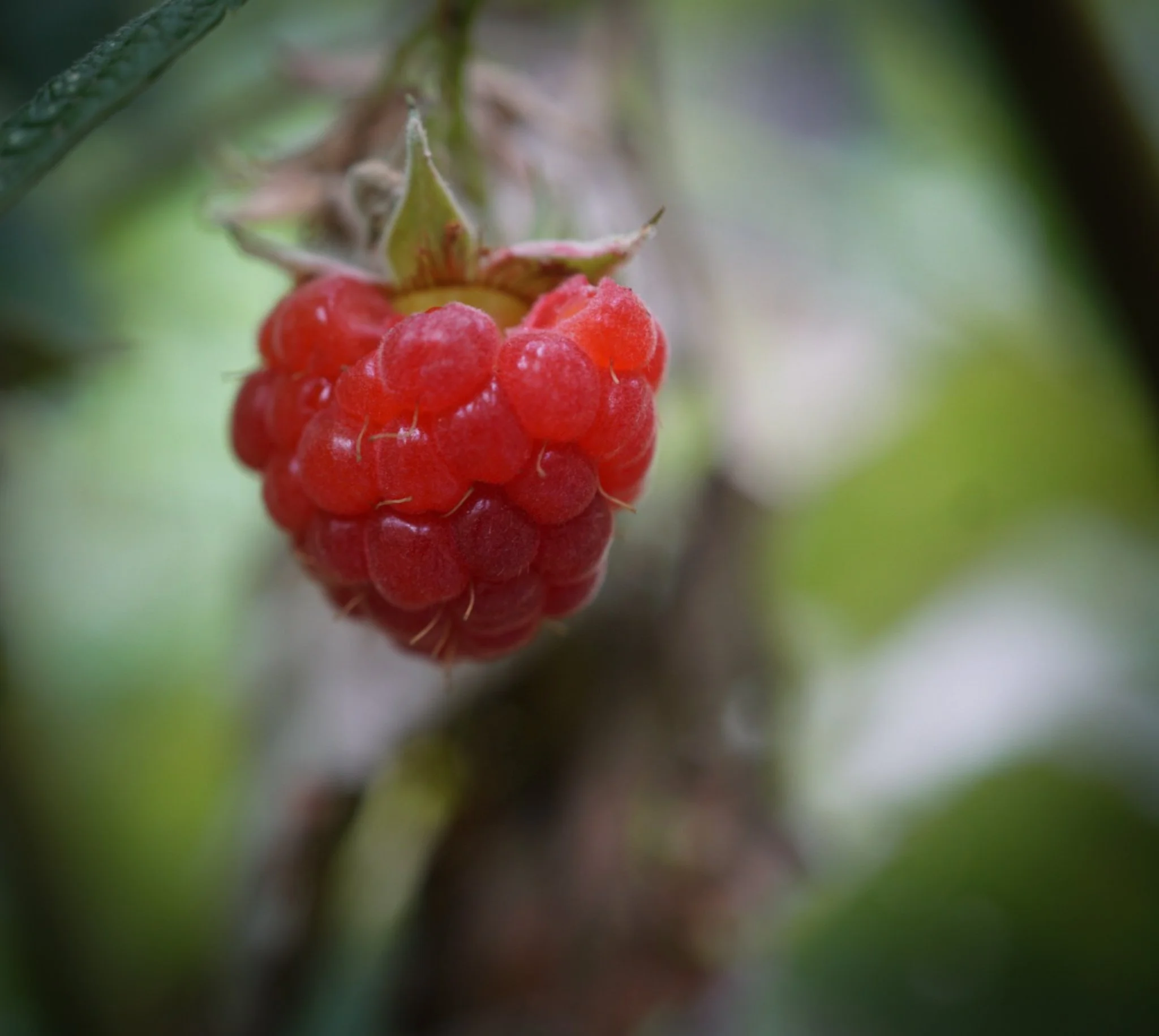 DSC09572.jpg