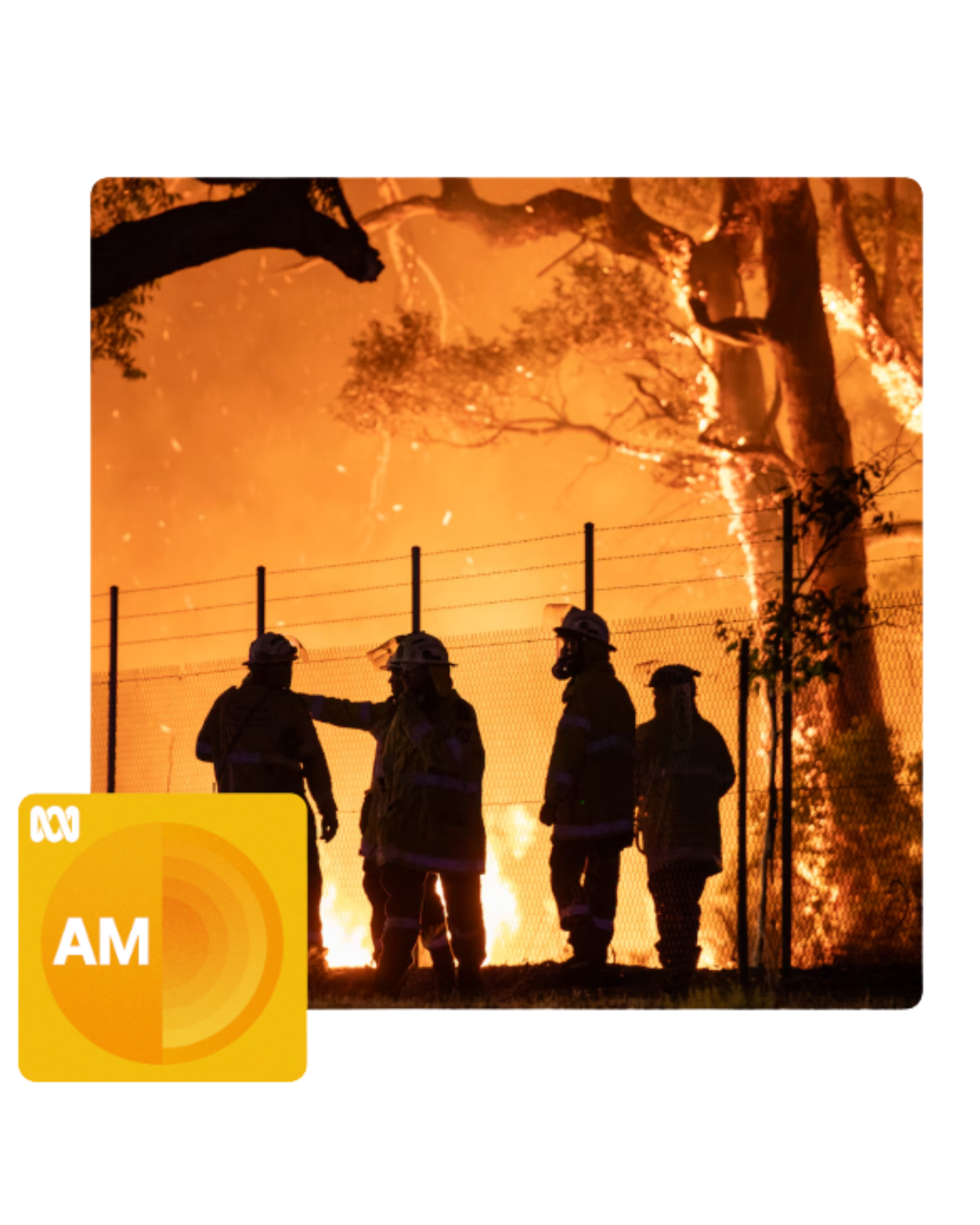 Jack Egan on ABC Radio