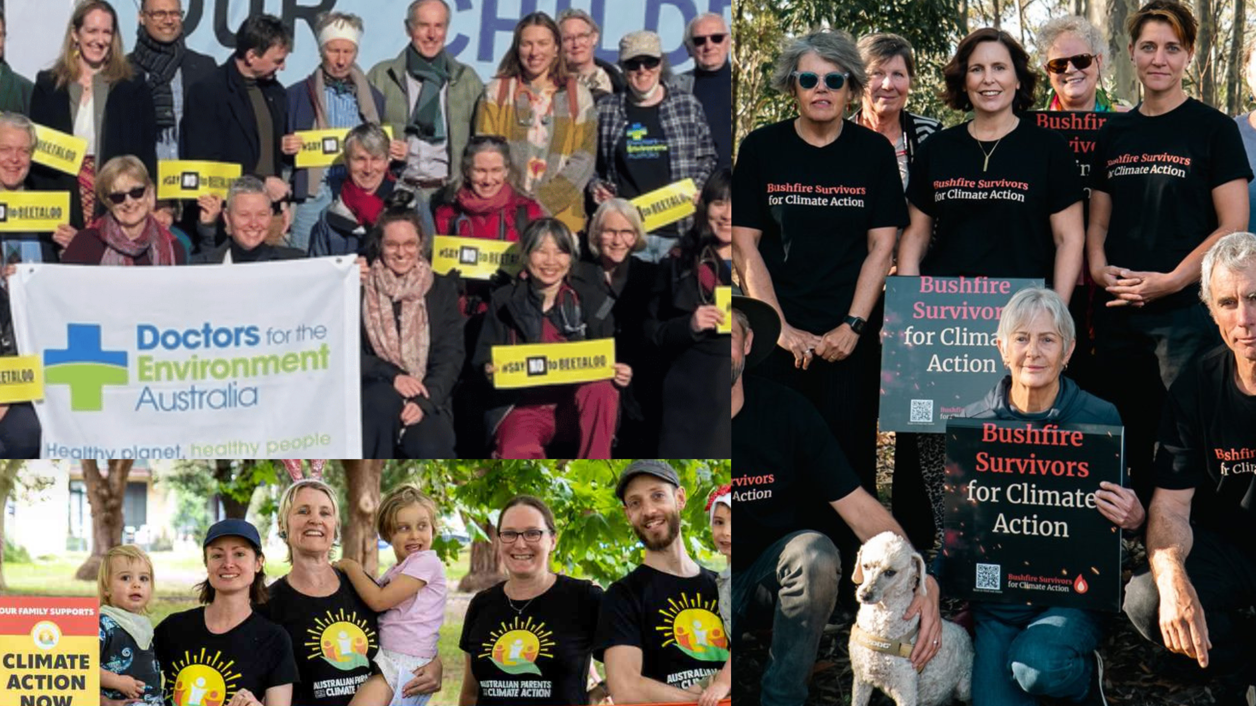 Health professionals, disaster survivors and families unite to back tax on big polluters