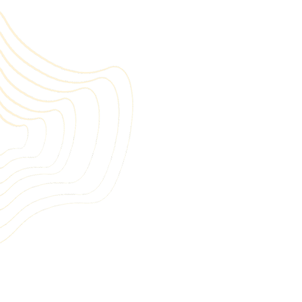 Our Team Bushfire Survivors For Climate Action our-team-bushfire-survivors-for-climate-action