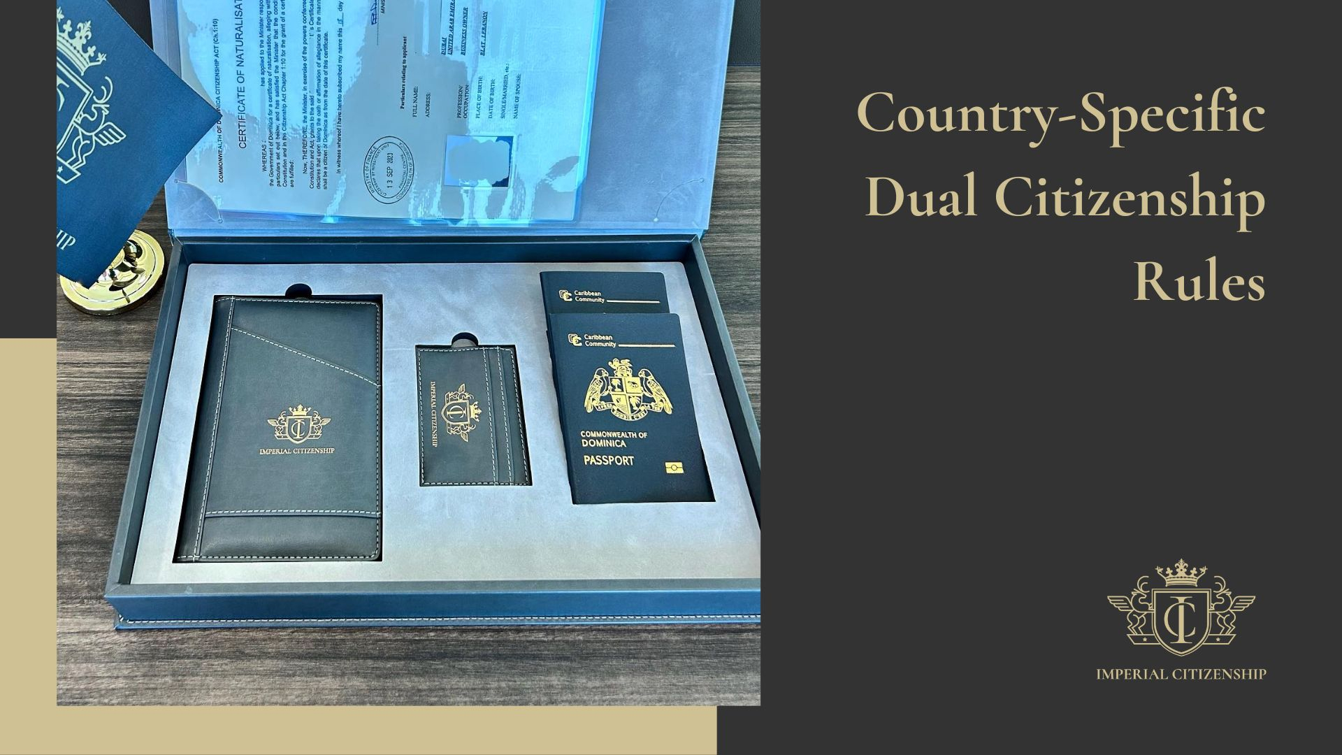 How to Apply Dual Citizenship in different countries Steps and Tips