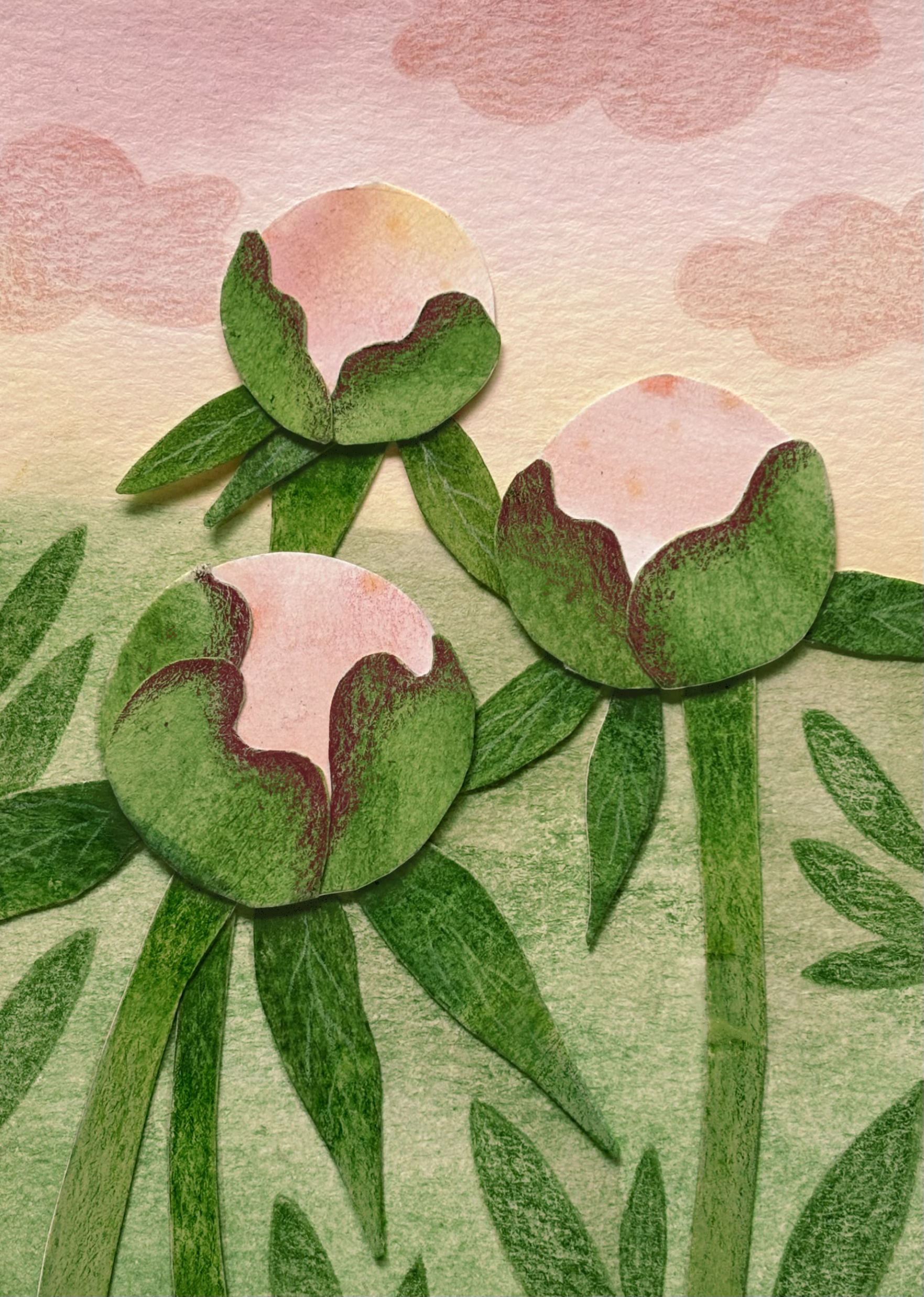Peony Buds.png