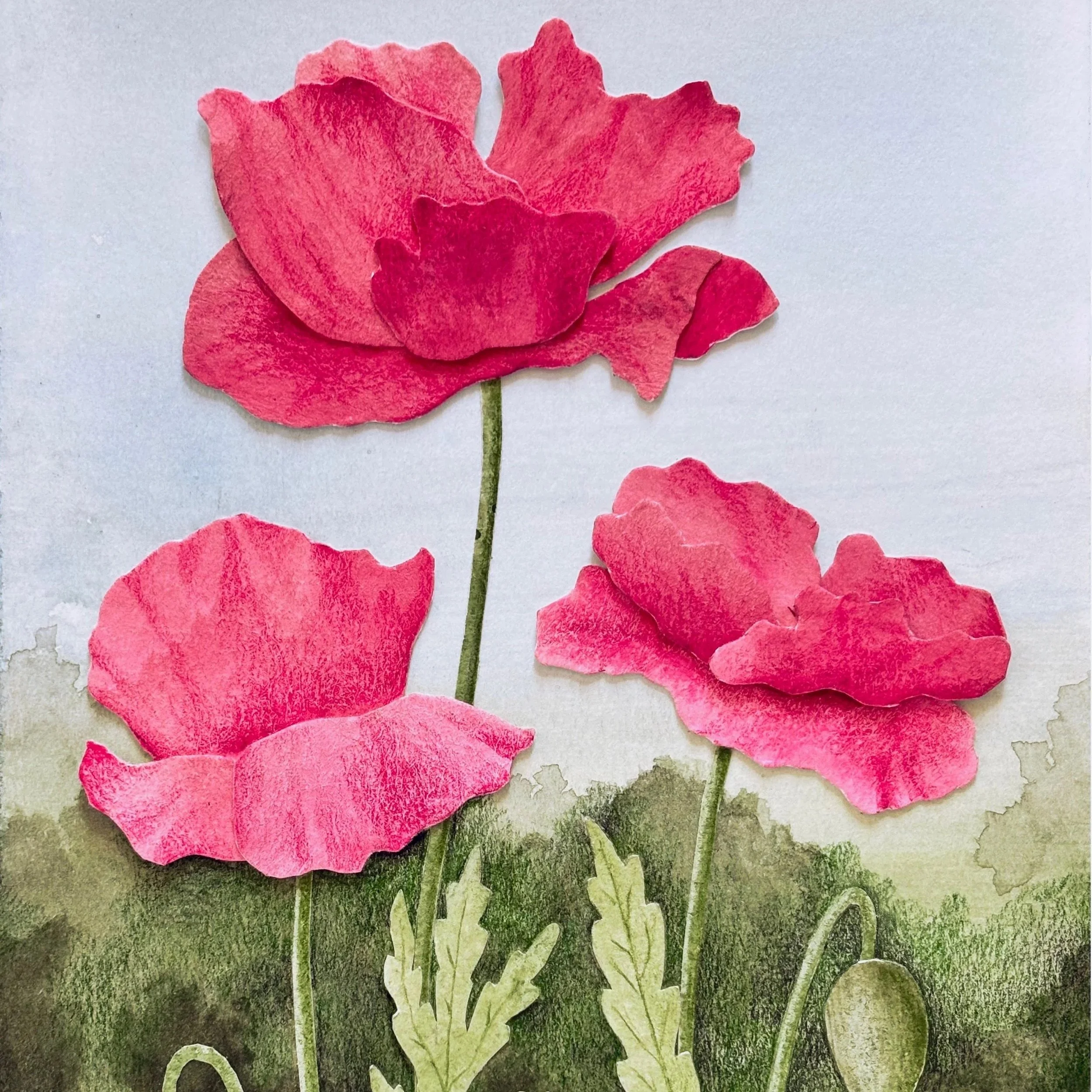 Poppies