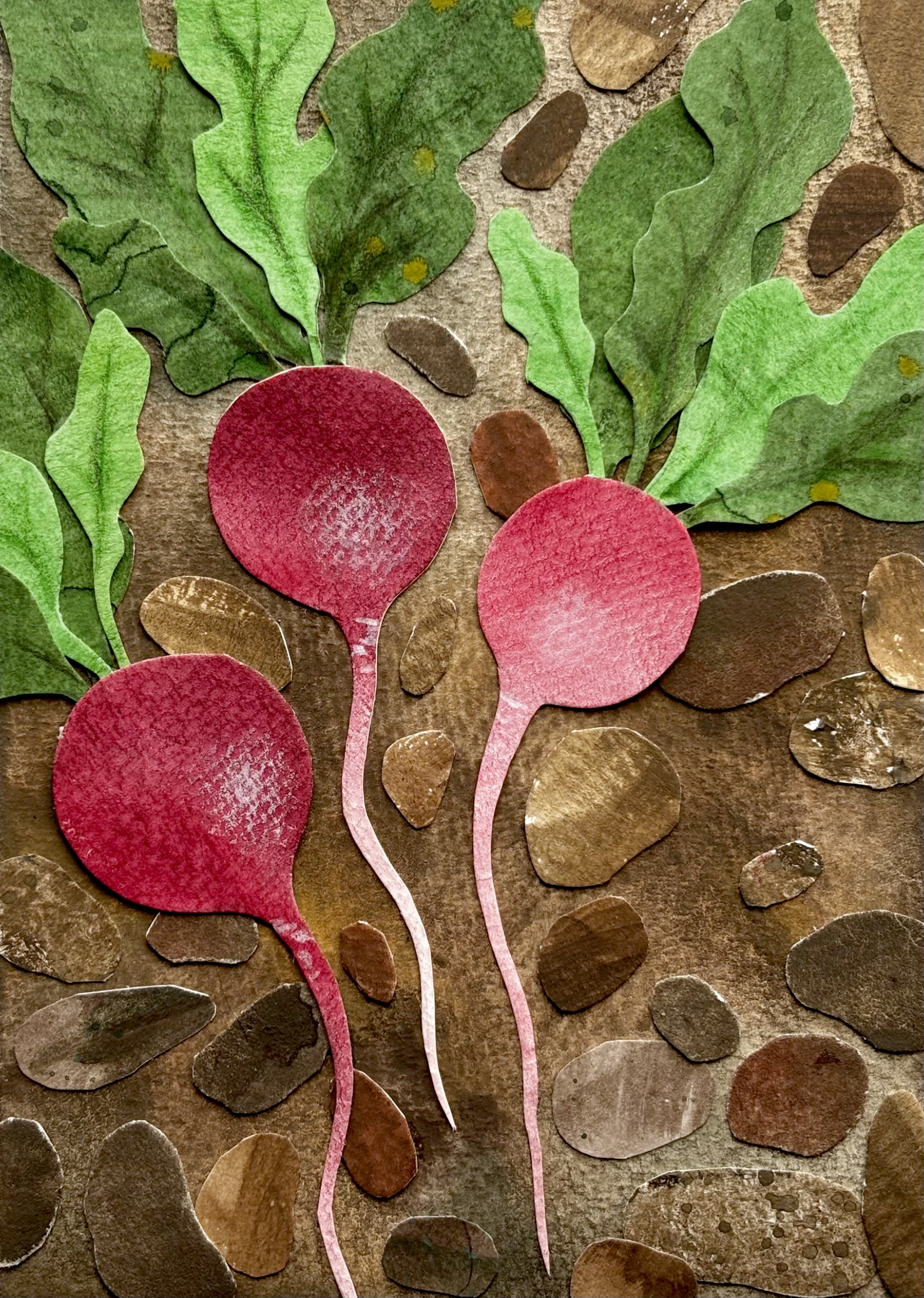 Radish.png