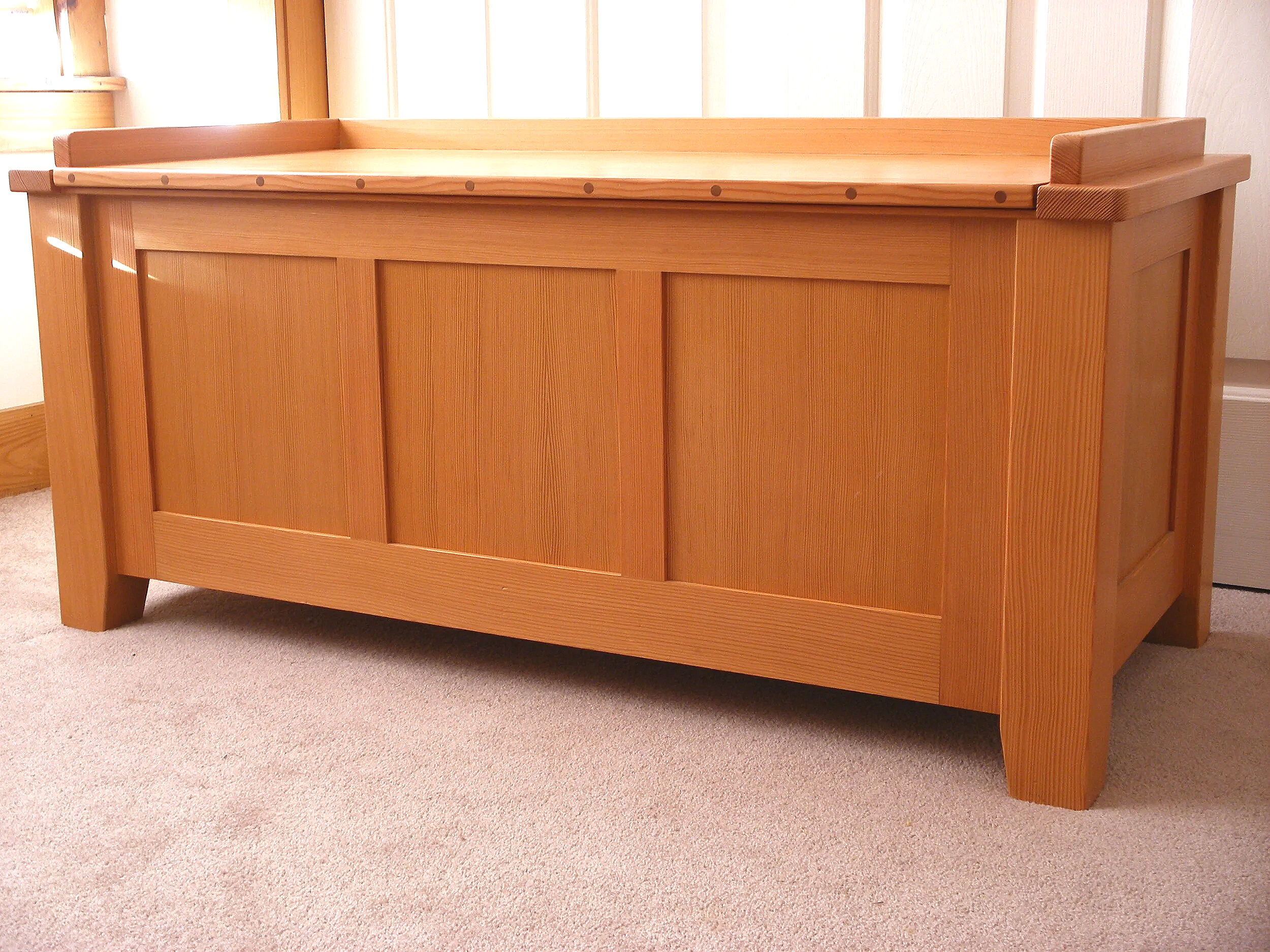 A wooden storage chest with a rectangular shape, flat lid, and panel design on the front, situated on a beige carpet near a window with natural light.