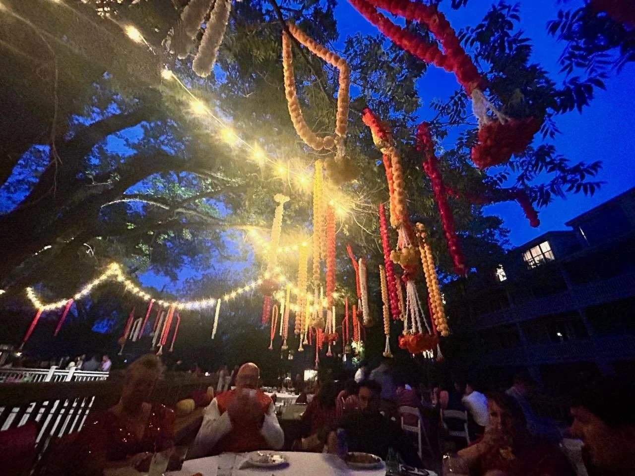 Hyatt Lost Pines - Pecan Court - Festoons in Tree - 2.jpg