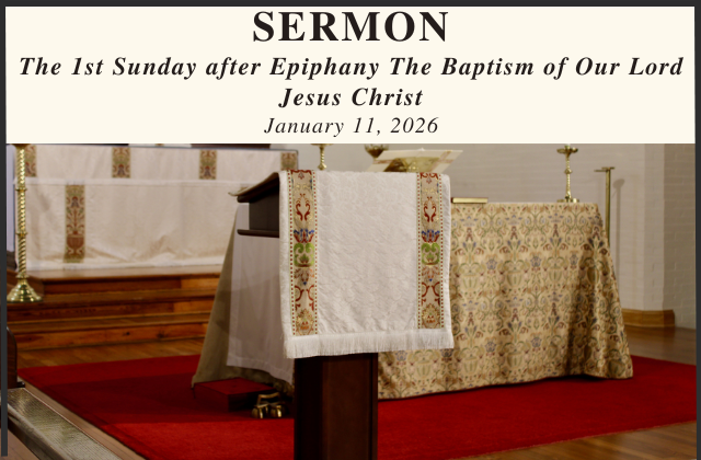 Baptismal Solidarity