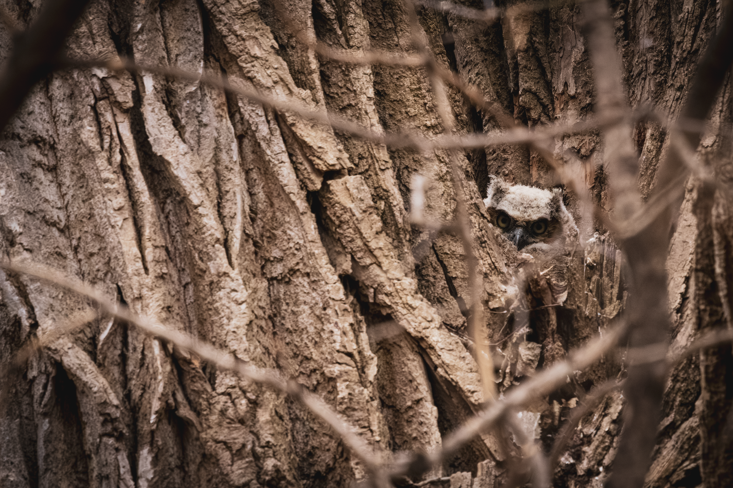 Screenshot 2026-03-15 at 2.58.20 PM.png