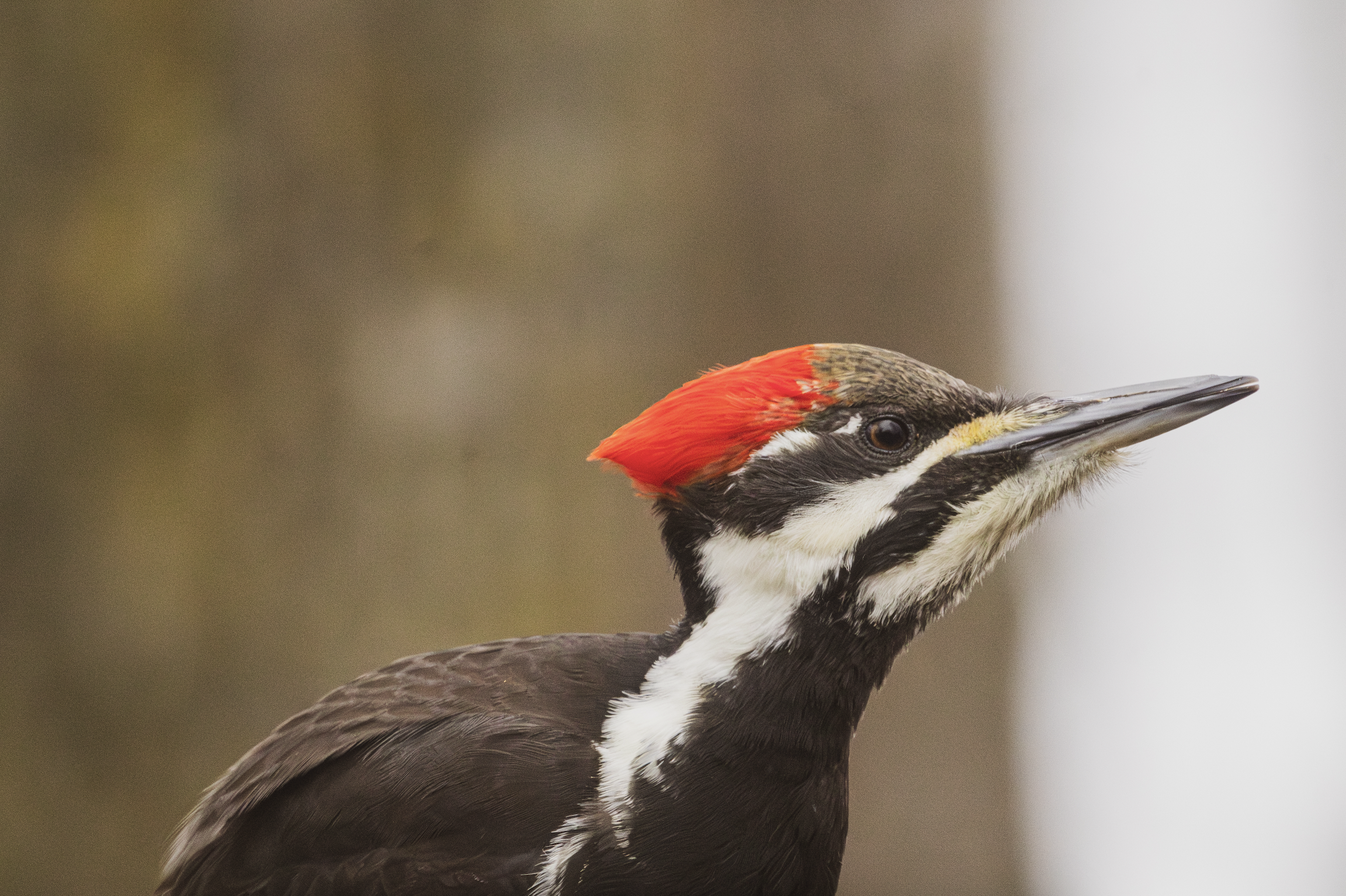 Screenshot 2026-03-15 at 2.57.42 PM.png