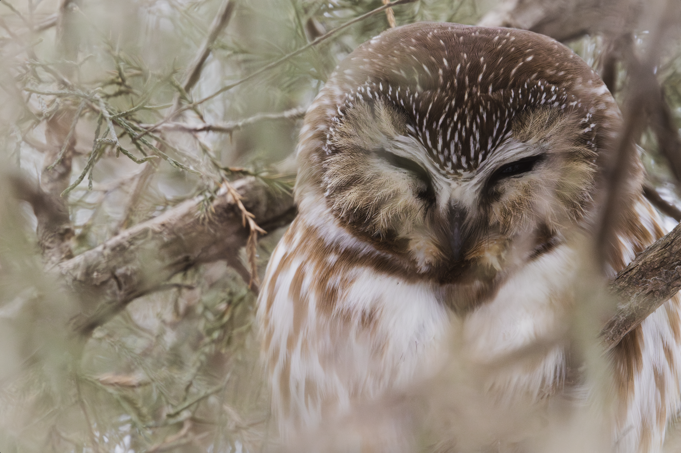 Screenshot 2026-03-15 at 3.44.16 PM.png