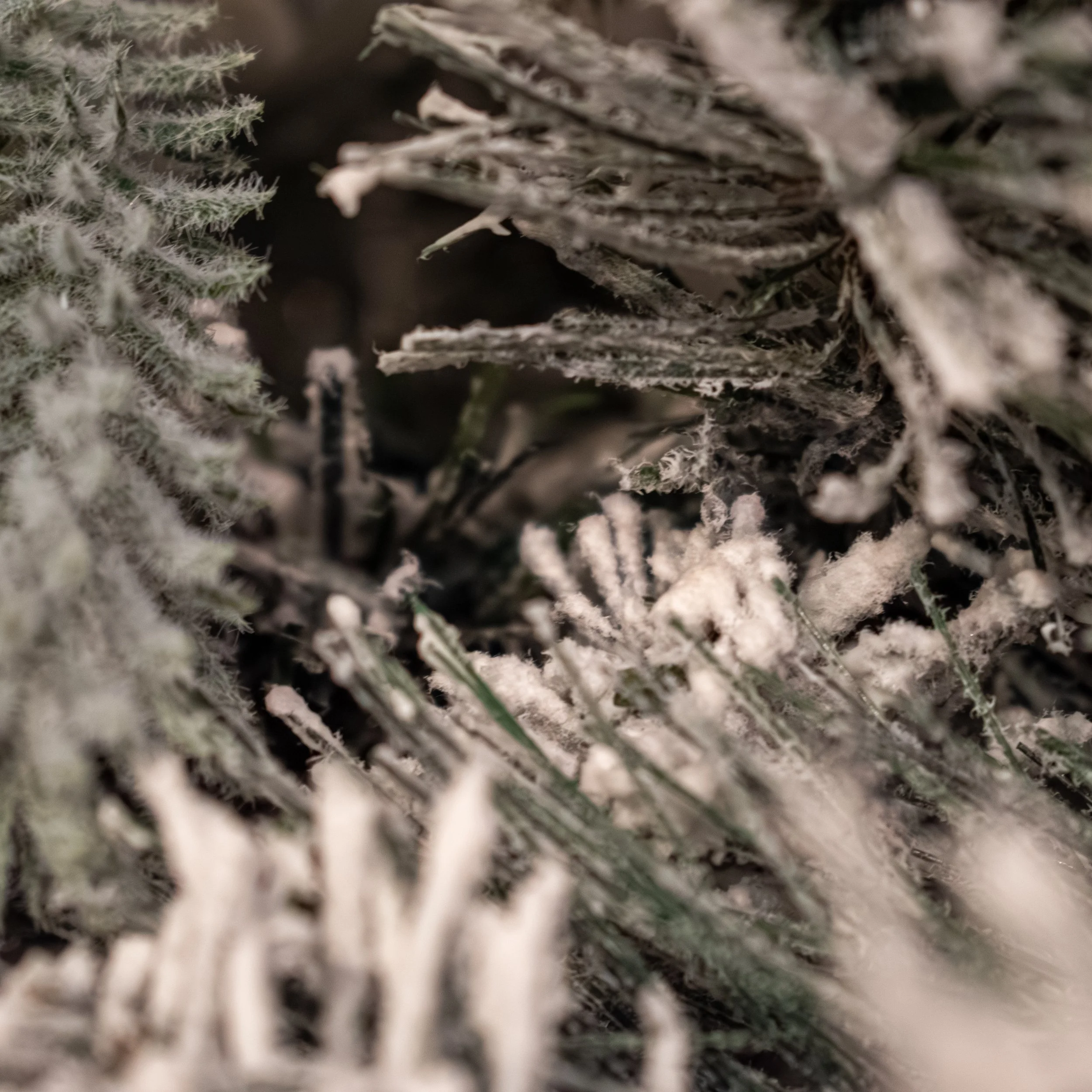 Flocked White Christmas Tree
