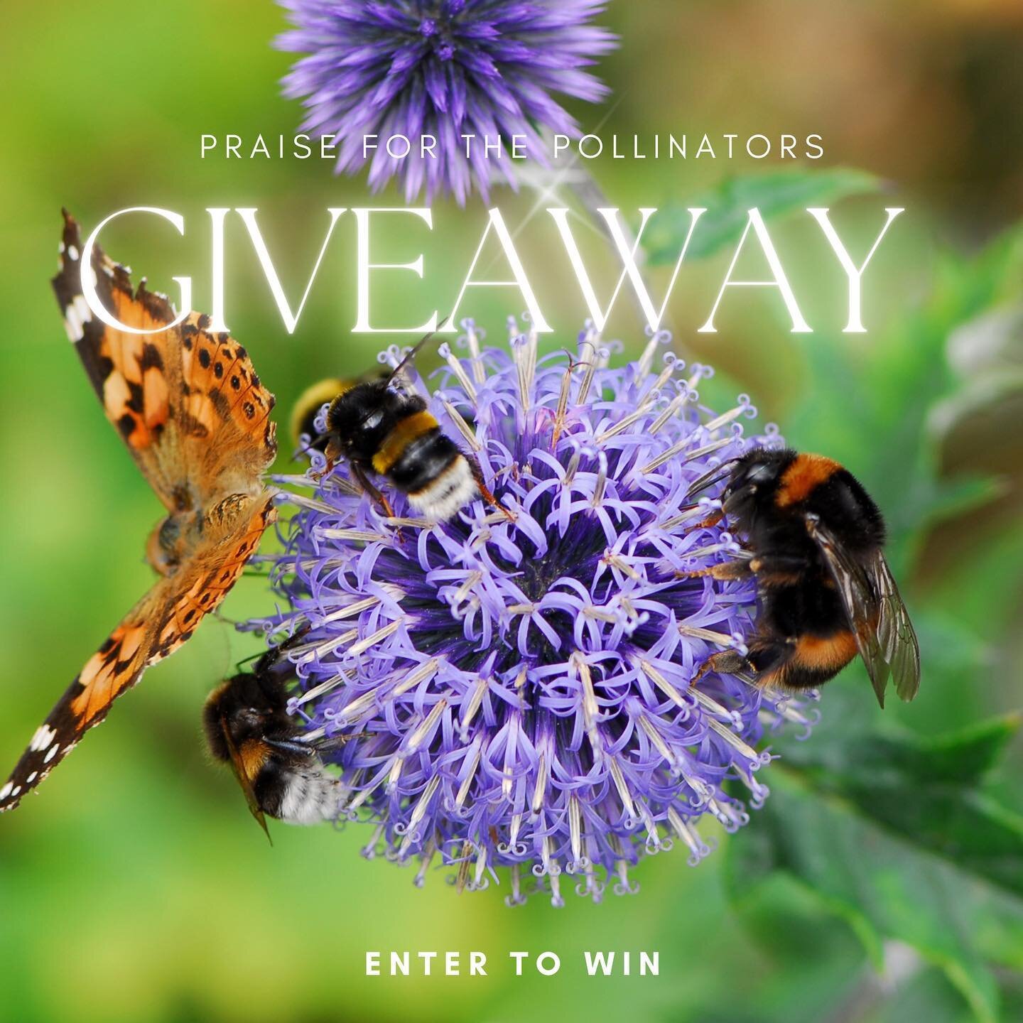 ENTER TO WIN! 

🌸🌼🌞Spring has sprung and we're celebrating the season of renewal by honoring nature&rsquo;s unsung heroes, pollinators! Join us in our Praise the Pollinators Giveaway in support of our $1000 sponsorship to @pollinatorpartnership fo