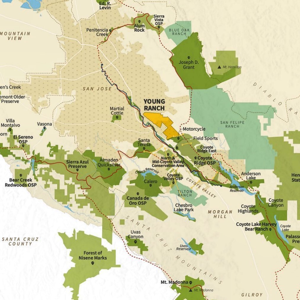 Young Ranch Preserve is connecting it up!  YRP is a link in the chain of open space along Coyote Ridge, as well as connecting two of California's diverse coastal ranges -- the Santa Cruz mountains and the Diablo Range. 

YRP reinforces and provides a