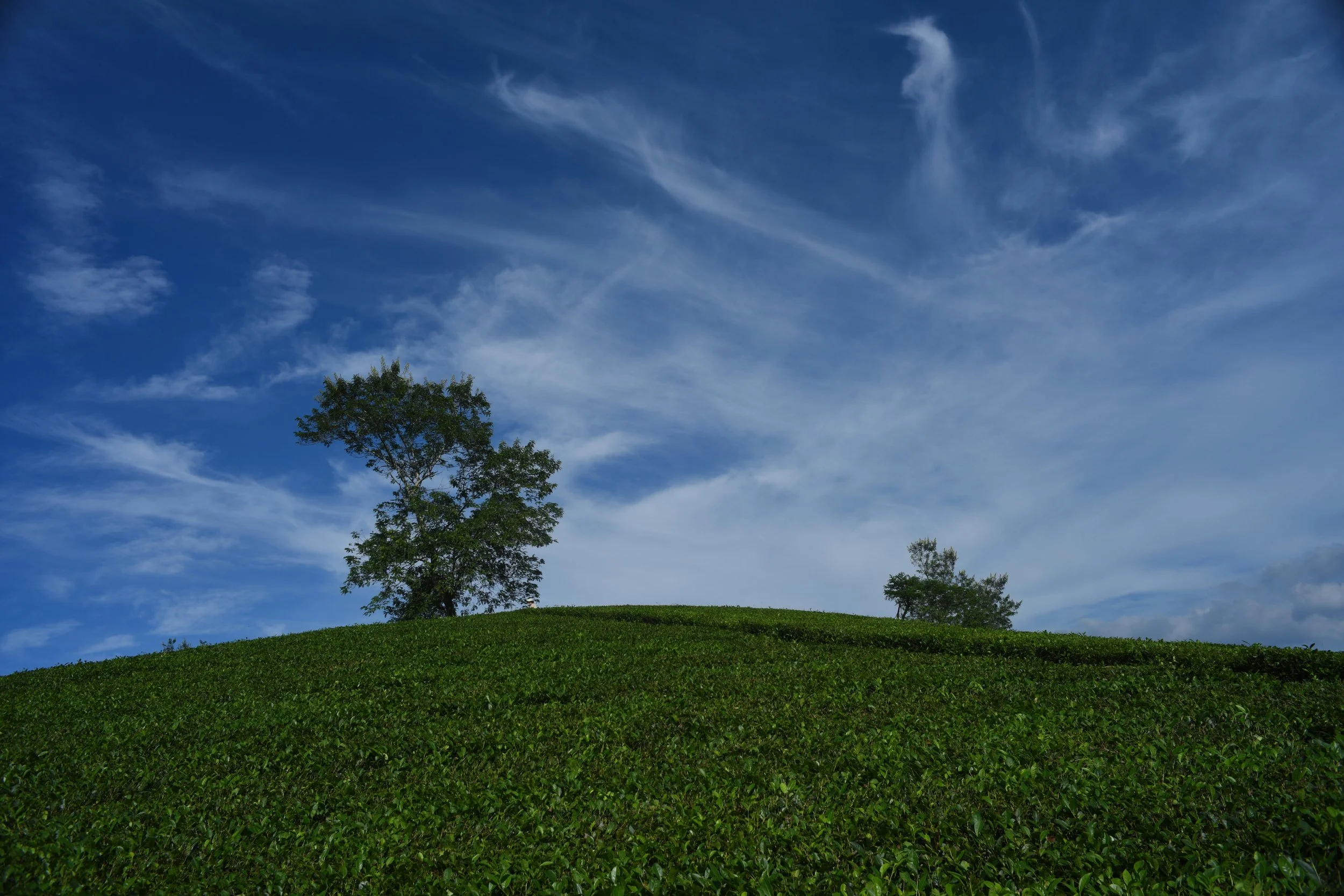 INFORME CALIDAD DEL AIRE CIUDAD DE GUATEMALA - FEBRERO 2026