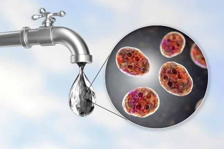 Bacterias en el agua